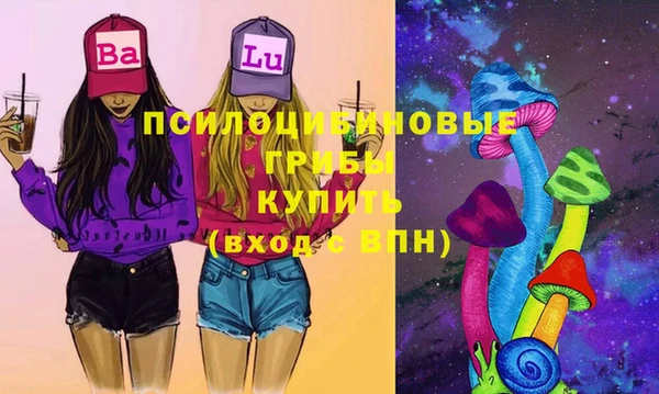 гашик Краснослободск