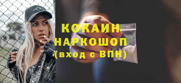 гашик Краснослободск