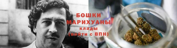 гашик Краснослободск