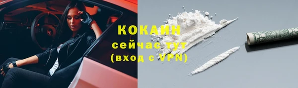 гашик Краснослободск