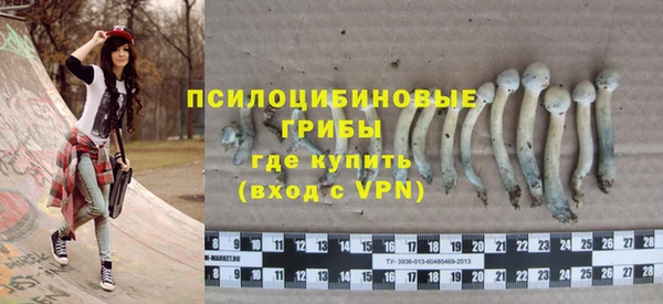 гашик Краснослободск
