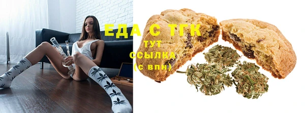 гашик Краснослободск