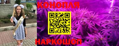 PSILOCYBIN Балахна
