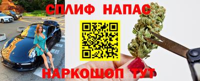PSILOCYBIN Балахна