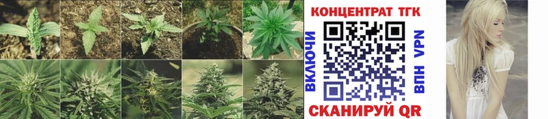 ТГК концентрат где купить наркоту Бийск