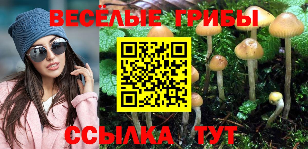 закладка  Псилоцибиновые грибы Cubensis  Вход с VPN  Бийск  Псилоцибиновые грибы мухоморы 