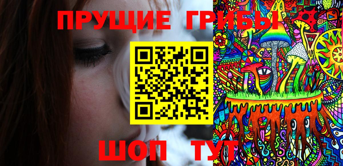 Псилоцибиновые грибы Psilocybe Бийск